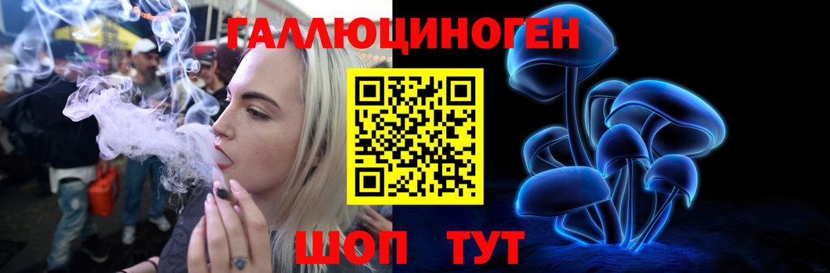 Псилоцибиновые грибы GOLDEN TEACHER  Вход с VPN  Юрга 